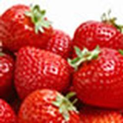 Miramar launches a new website for Thomson Strawberry Farm Logo