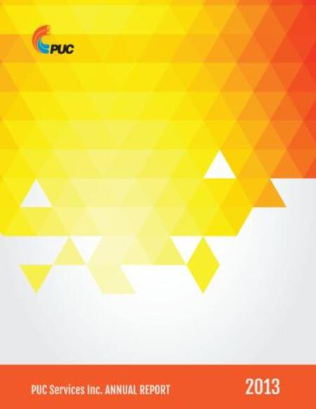 PUC Report Preview Image