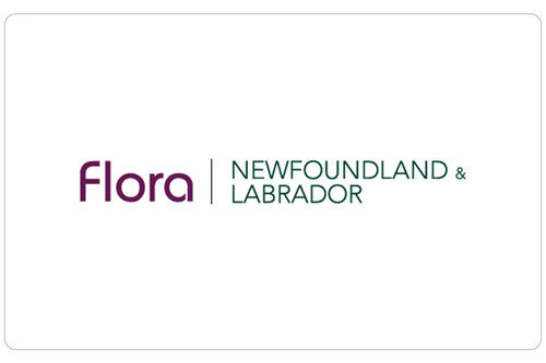 Flora of Newfoundland and Labrador Website Development