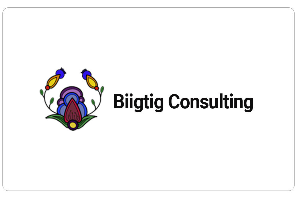 Display Image for Biigtig Consulting Website Development