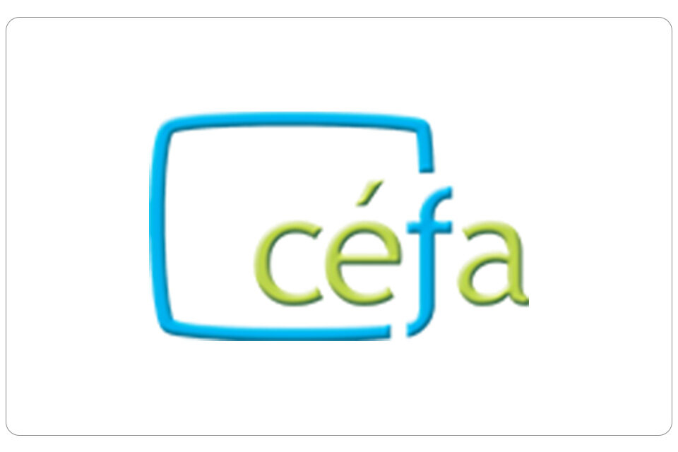 Display Image for CEFA Website Design