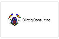 Biigtig Consulting Website Development