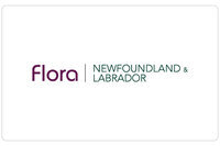 Flora of Newfoundland and Labrador Website Development